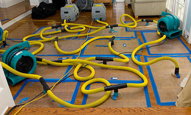 Professional Basement Flood Cleanup technician working in Wyoming, DE